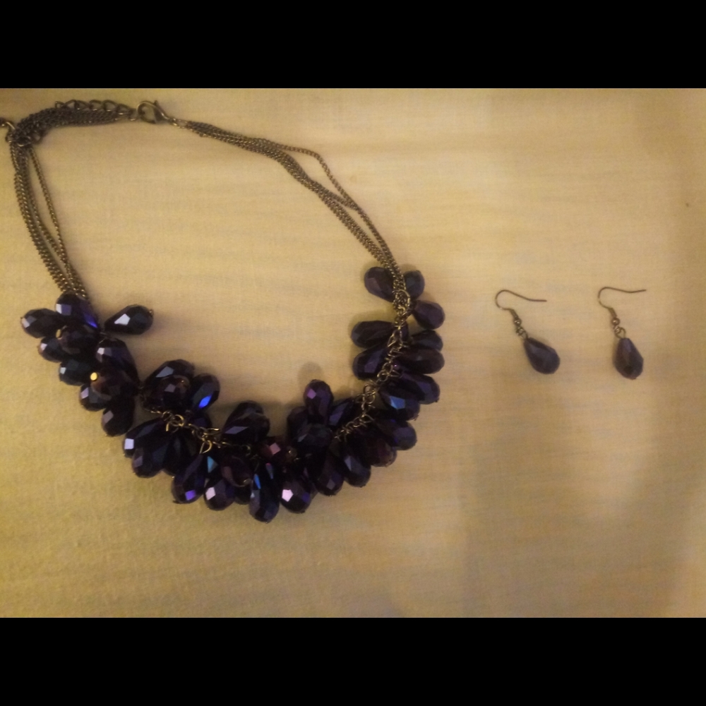 Purplish blue necklace and earrings